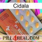 Cidala 43